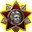 Badge Level 6