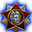 Badge Level 14