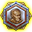 Badge Level 7