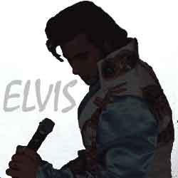 Elvis