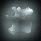 Ancestral Vertebrae