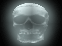 Ancestral Skull