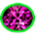 Paltry Chaos Gem 1