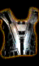 Plate of the Ravager V2