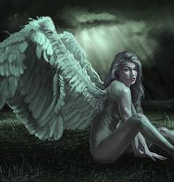 Fight For The Valley