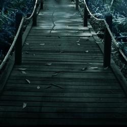 Exit the Mystifying Carnival