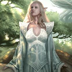 The Forest Enchantment