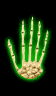 Carpal Shield of Osteology